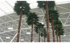 Airport Landscape Plants